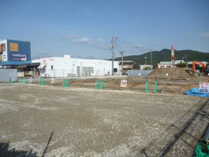 P1020119
